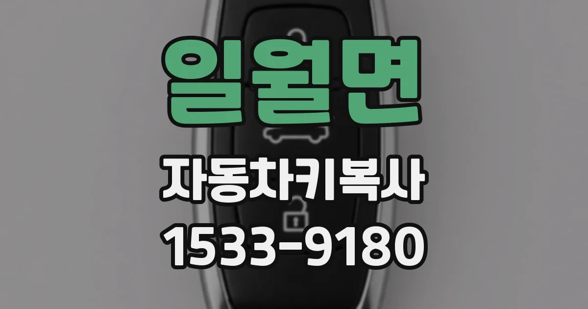 일월면 자동차키복사