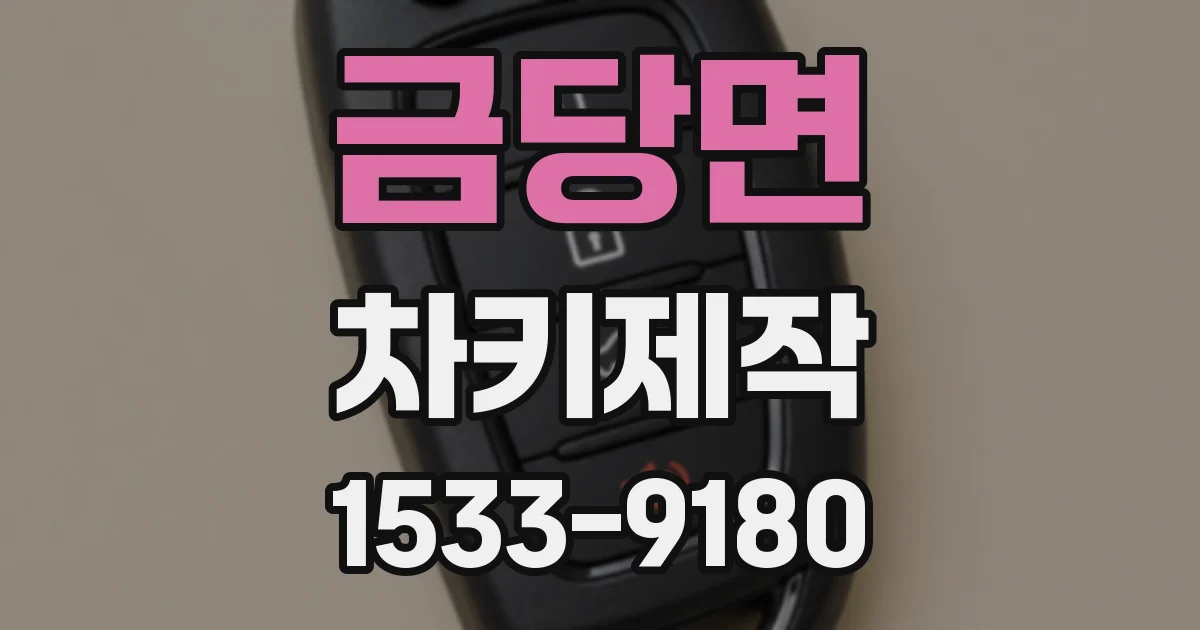 금당면 차키제작