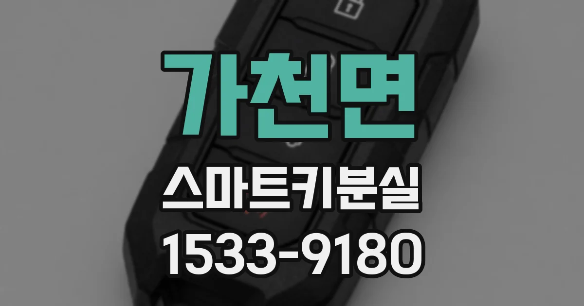 가천면 스마트키분실