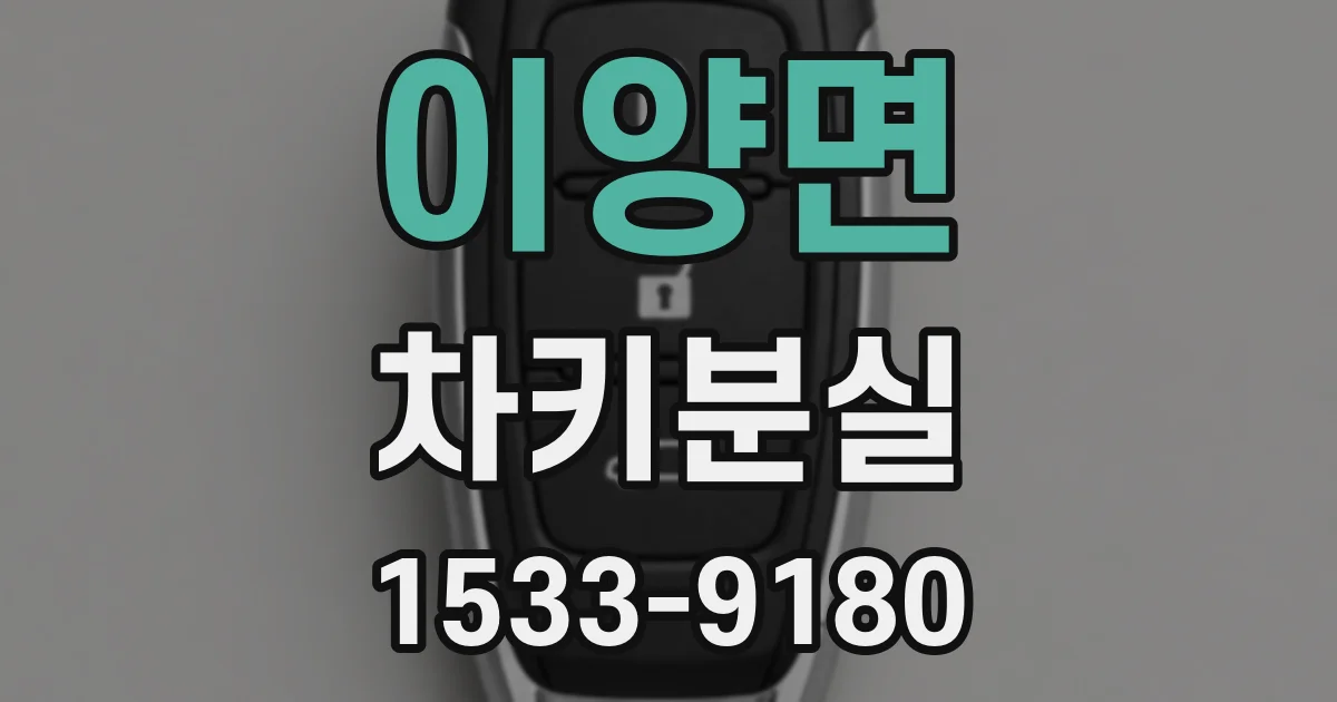 이양면 차키분실