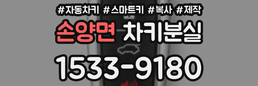 손양면 차키분실