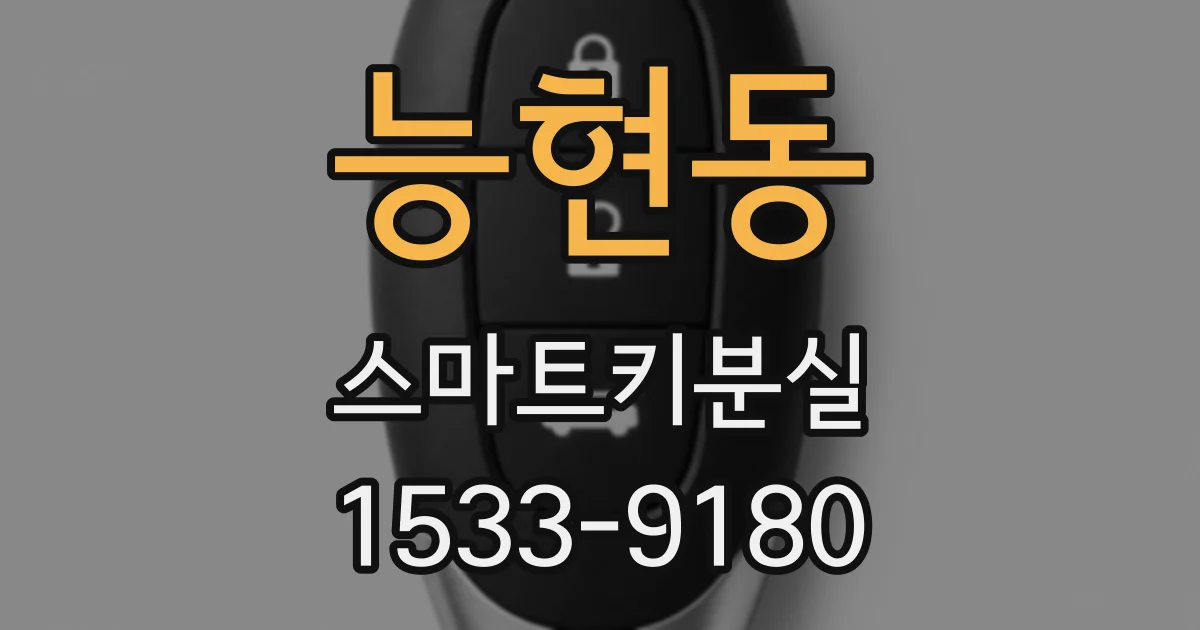 능현동 스마트키분실