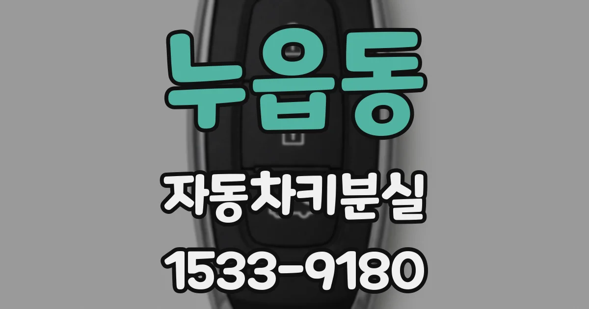 누읍동 자동차키분실