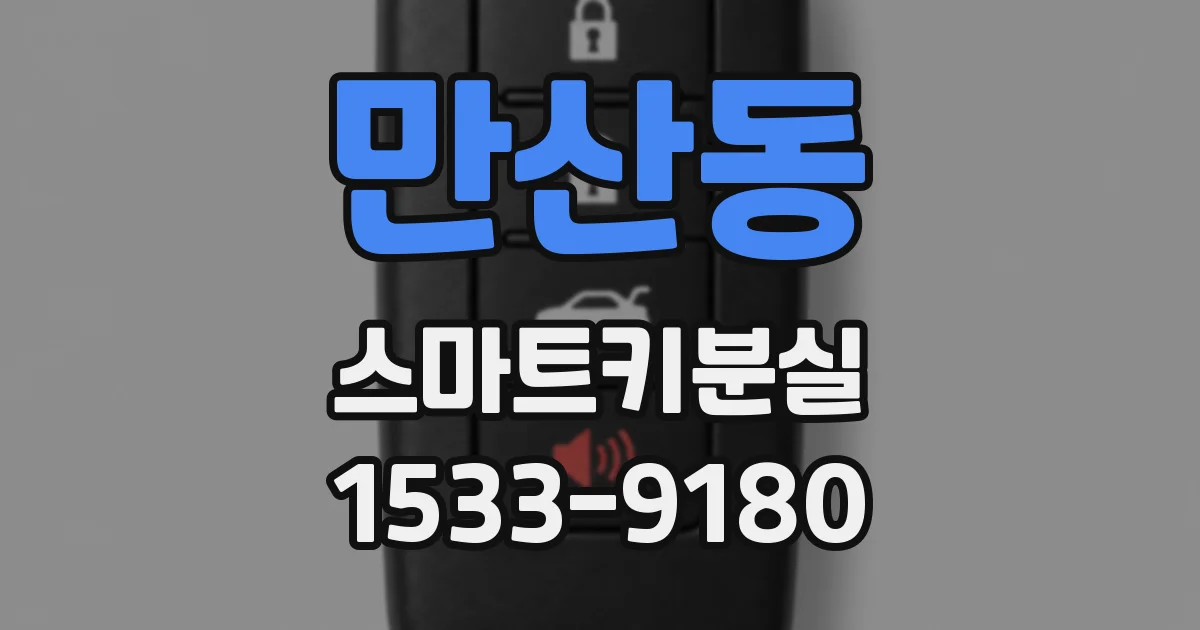 만산동 스마트키분실