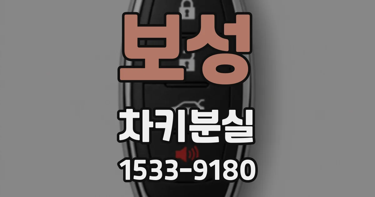 보성 차키분실
