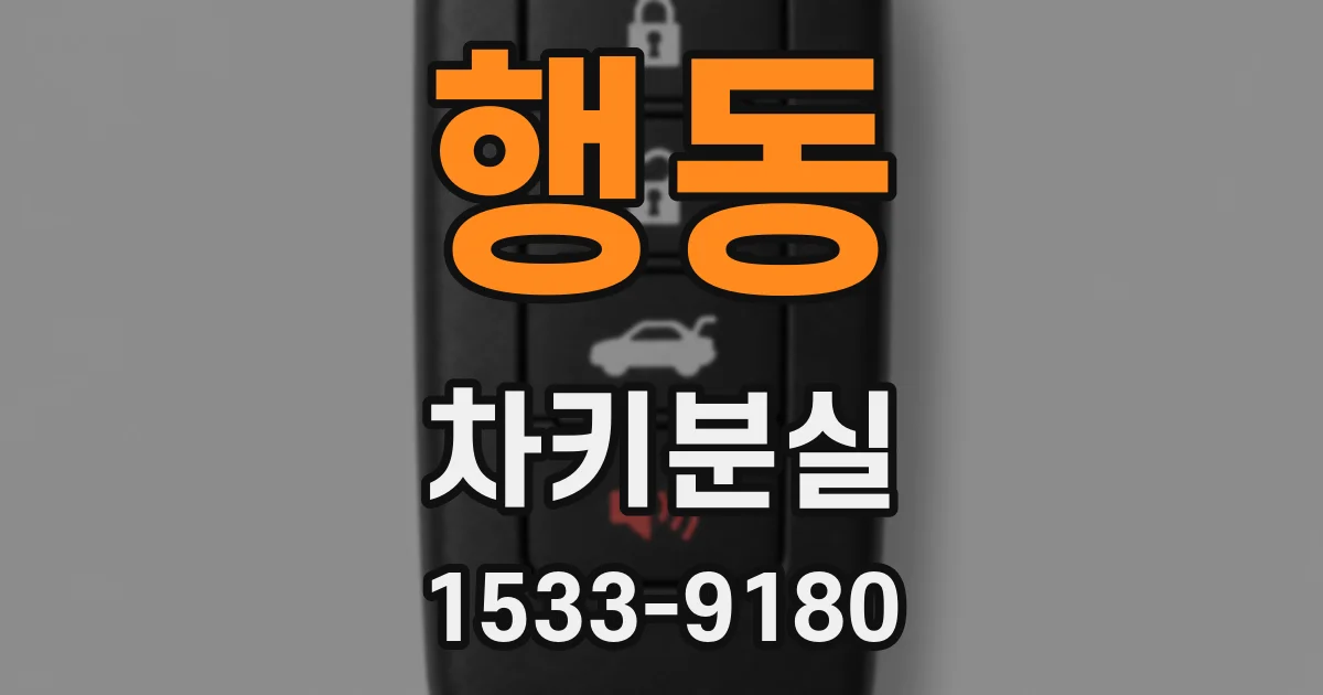 행동 차키분실