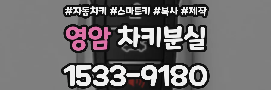 영암 차키분실