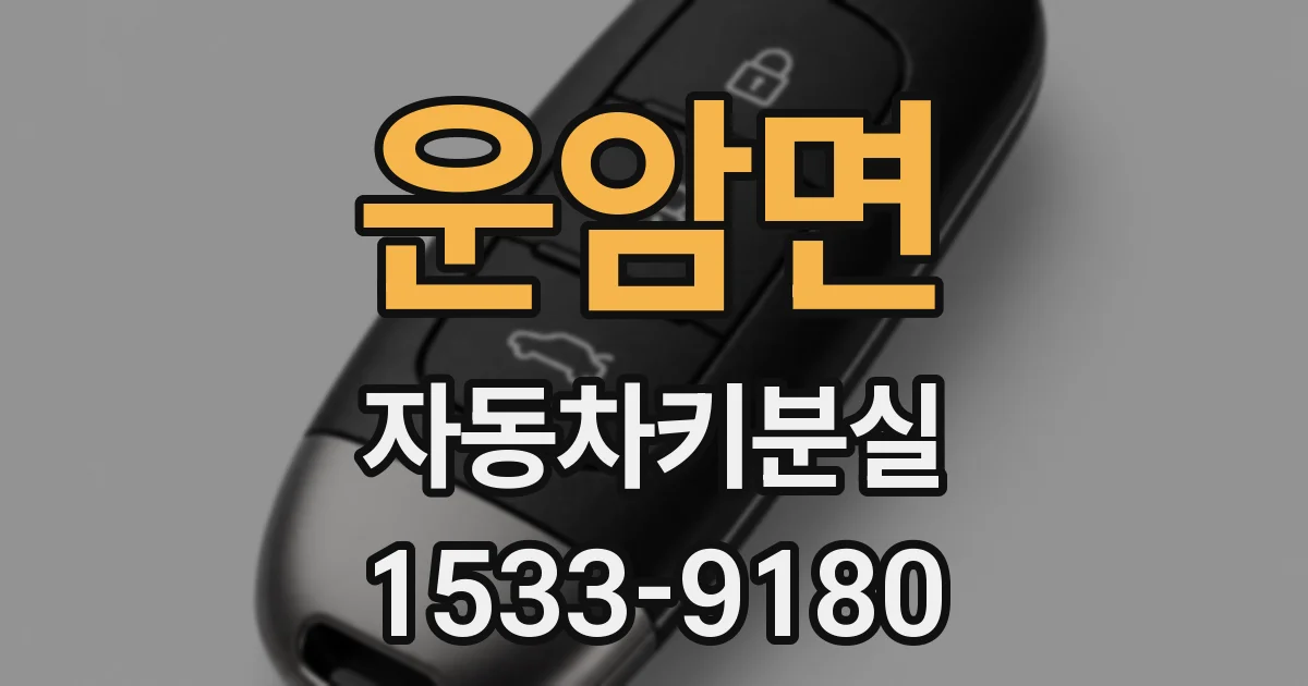 운암면 자동차키분실
