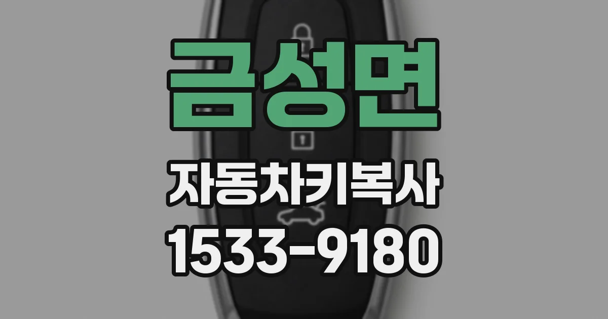 금성면 자동차키복사