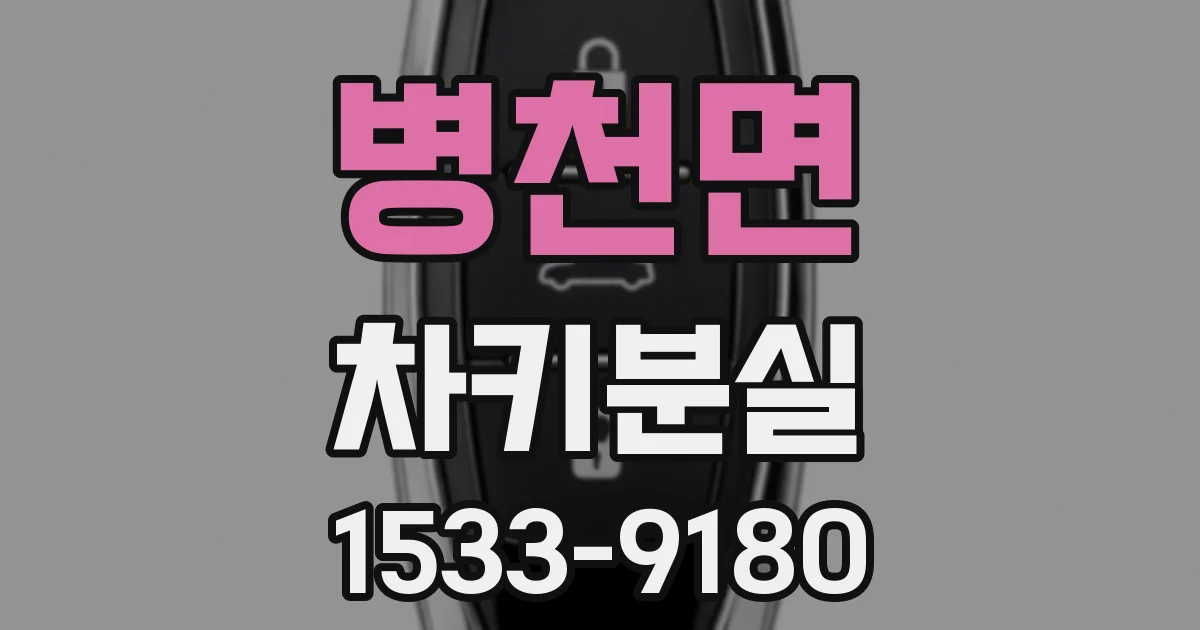 병천면 차키분실