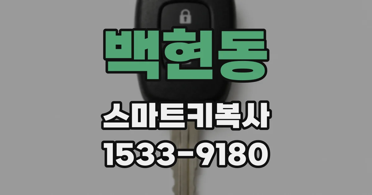 백현동 스마트키복사