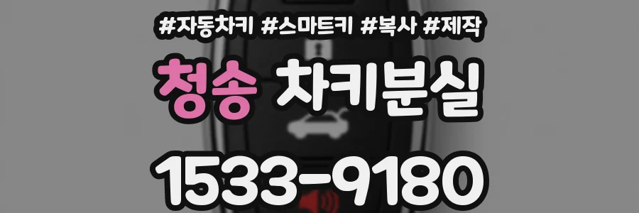 청송 차키분실