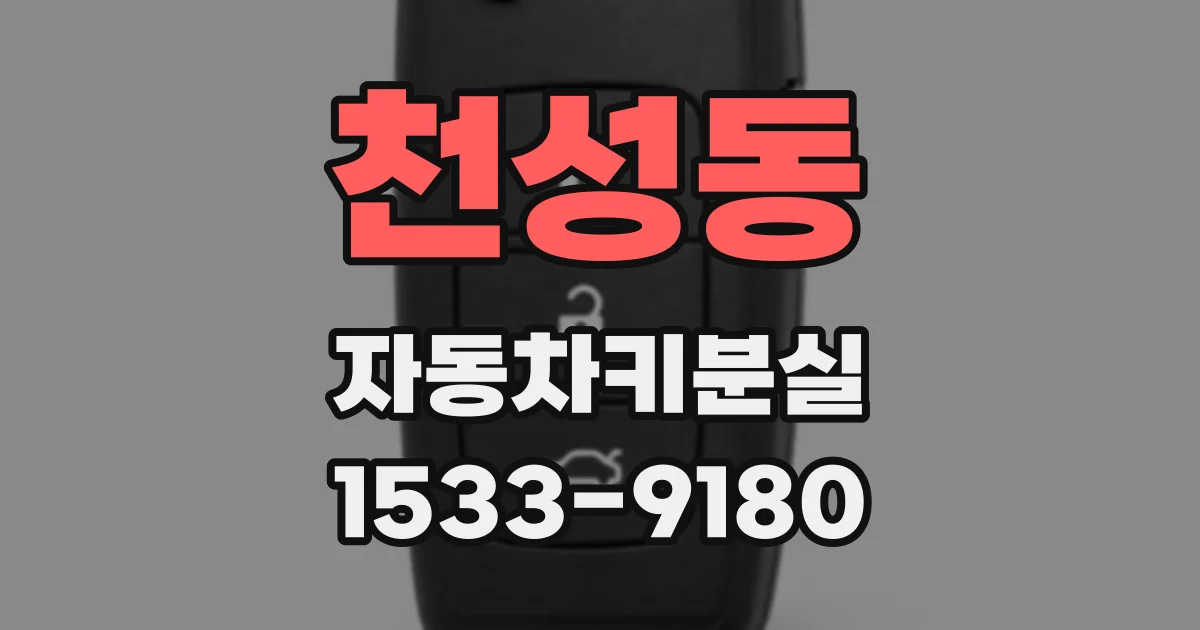 천성동 자동차키분실