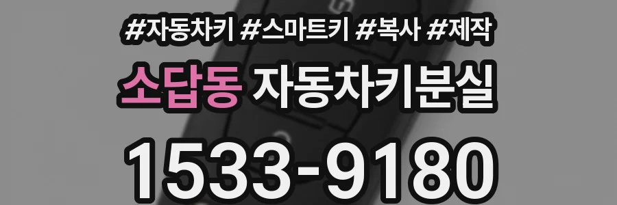 소답동 자동차키분실
