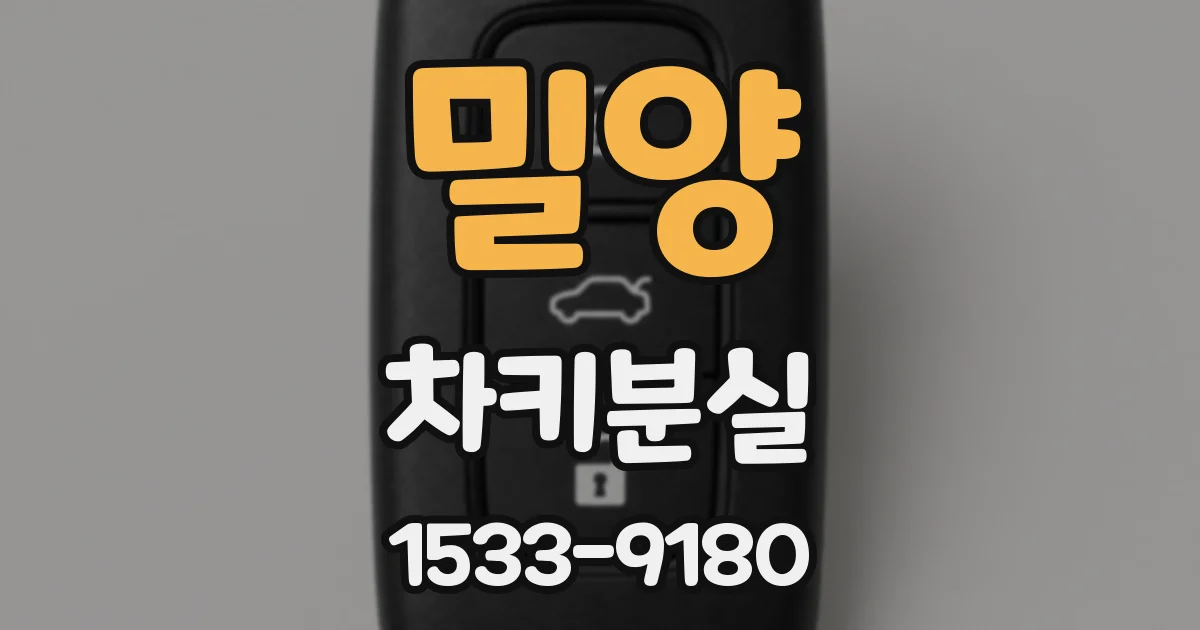 밀양 차키분실