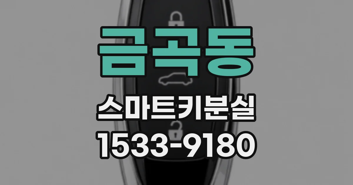 금곡동 스마트키분실