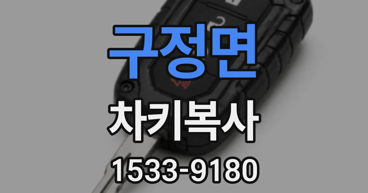 구정면 차키복사