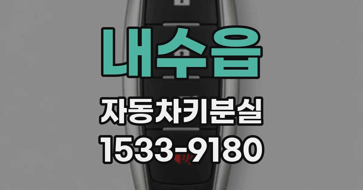 내수읍 자동차키분실