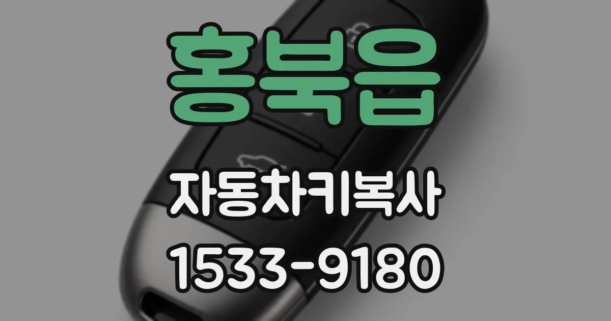 홍북읍 자동차키복사