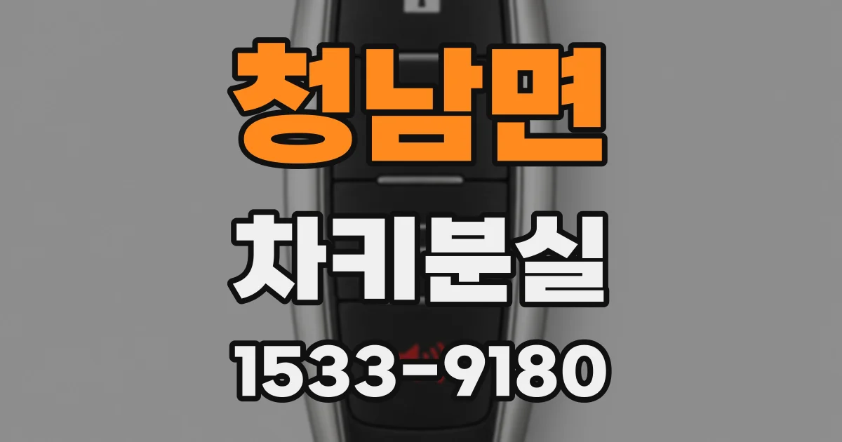 청남면 차키분실