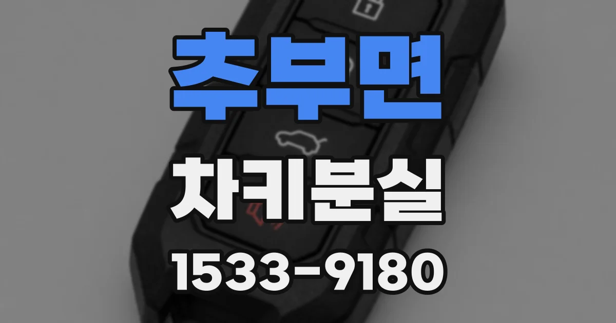 추부면 차키분실