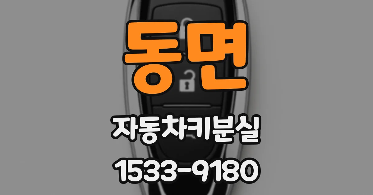동면 자동차키분실