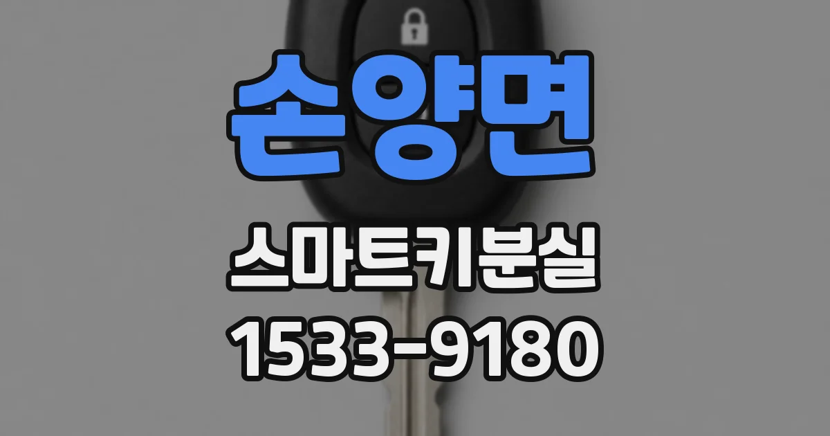 손양면 스마트키분실
