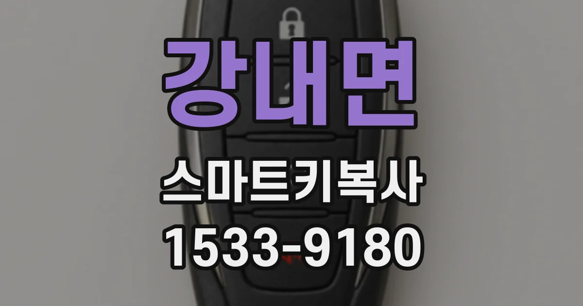 강내면 스마트키복사