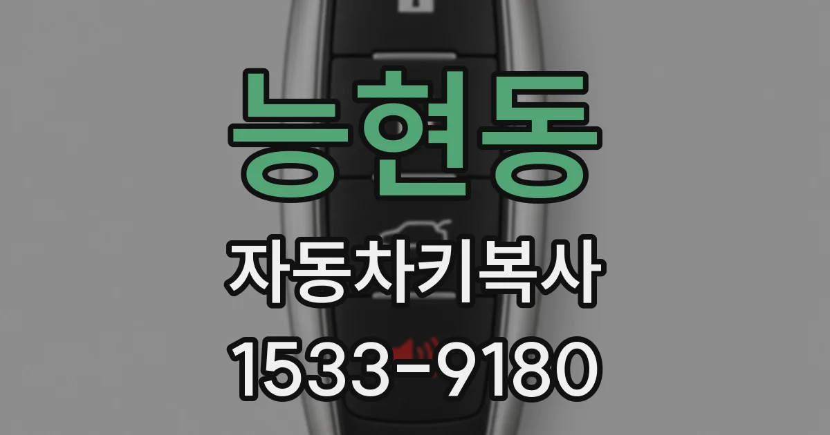 능현동 자동차키복사