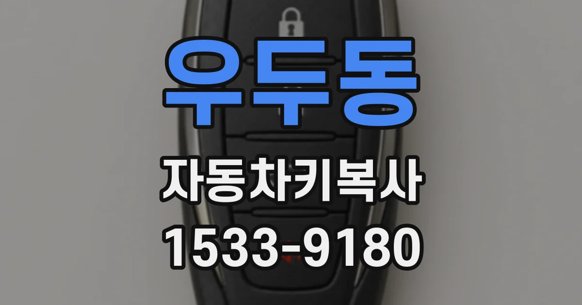 우두동 자동차키복사