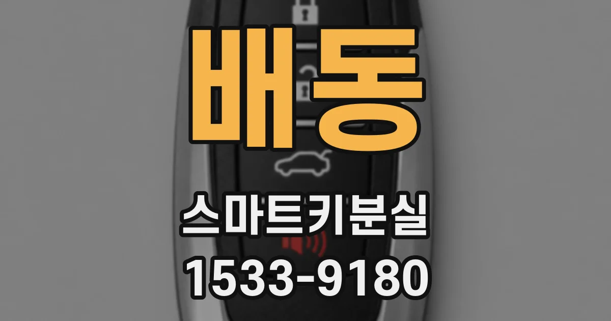 배동 스마트키분실