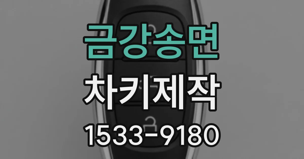 금강송면 차키제작
