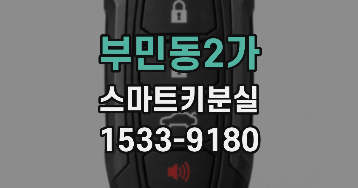 부민동2가 스마트키분실