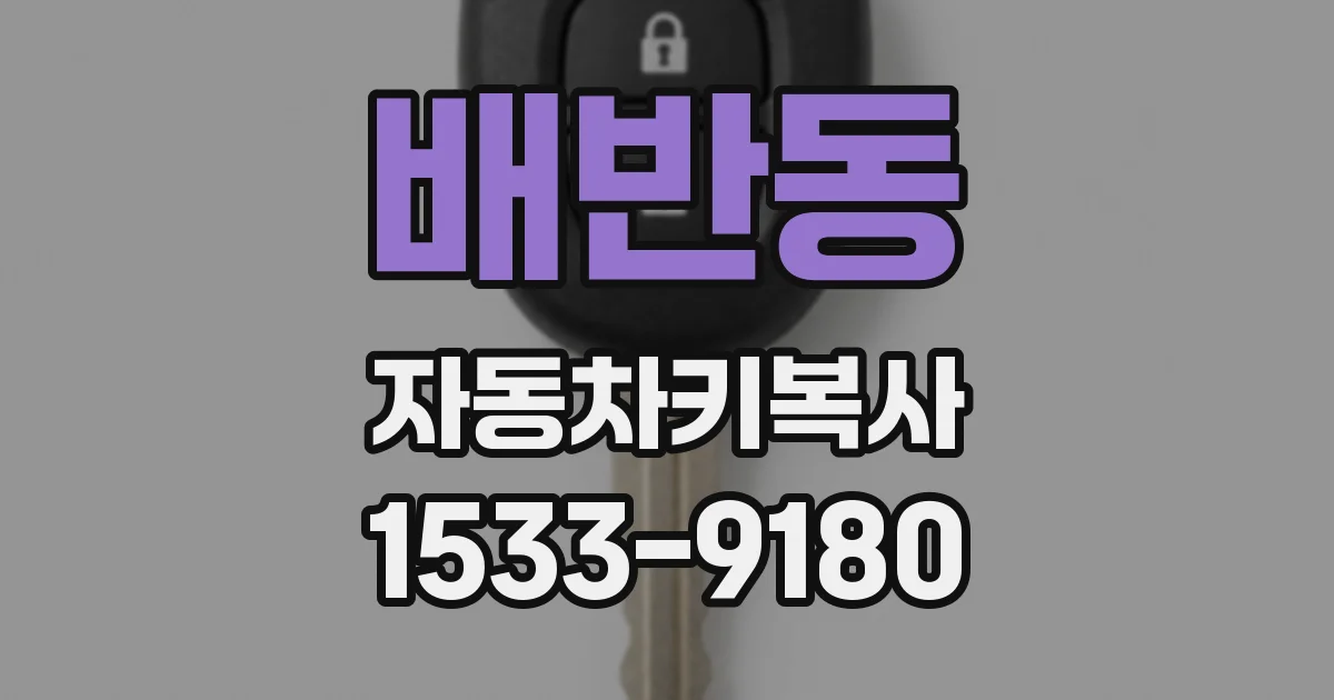 배반동 자동차키복사