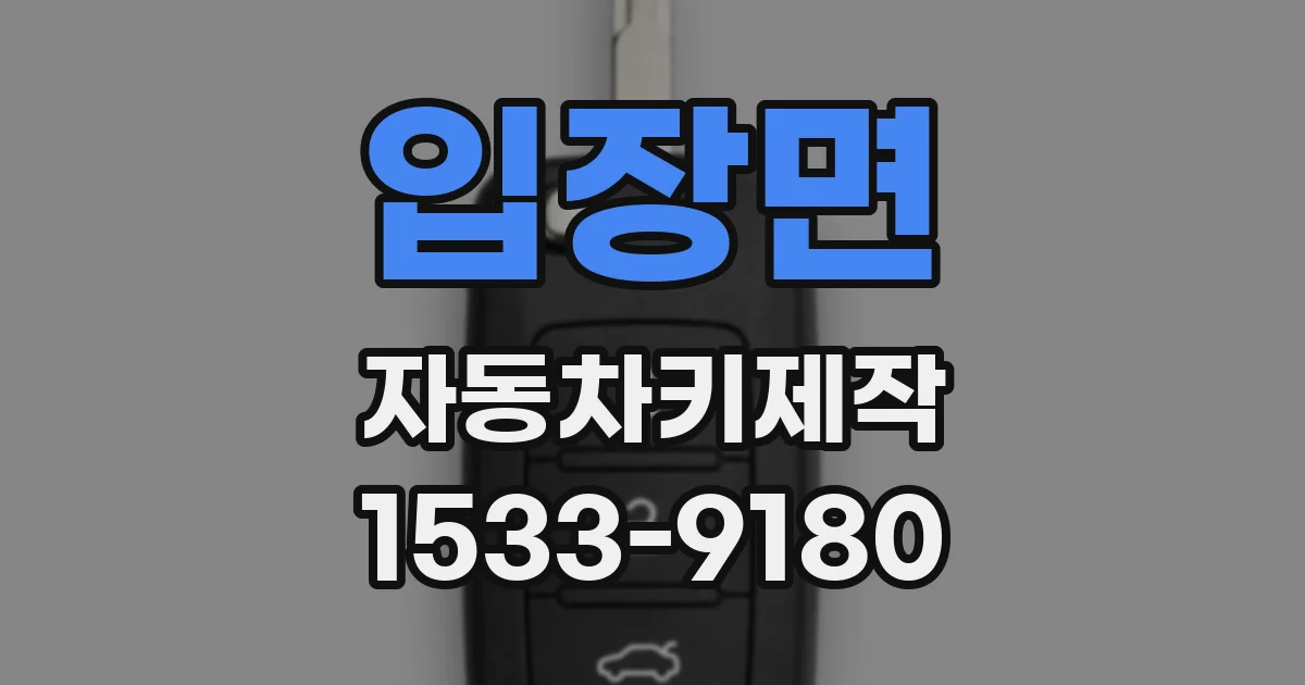 입장면 자동차키제작
