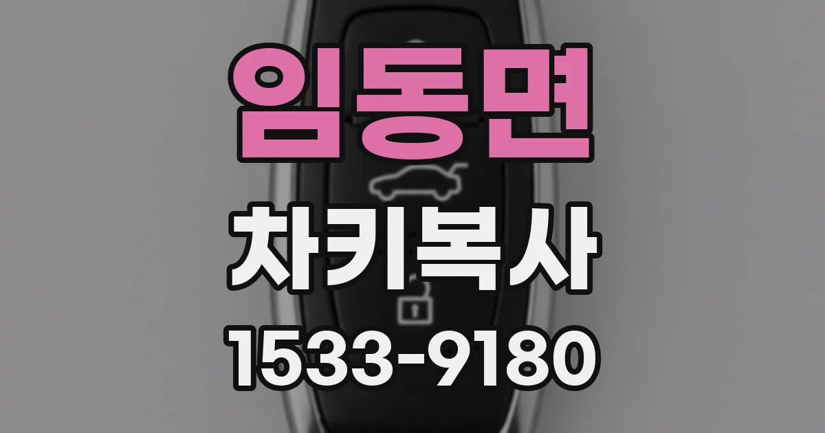 임동면 차키복사