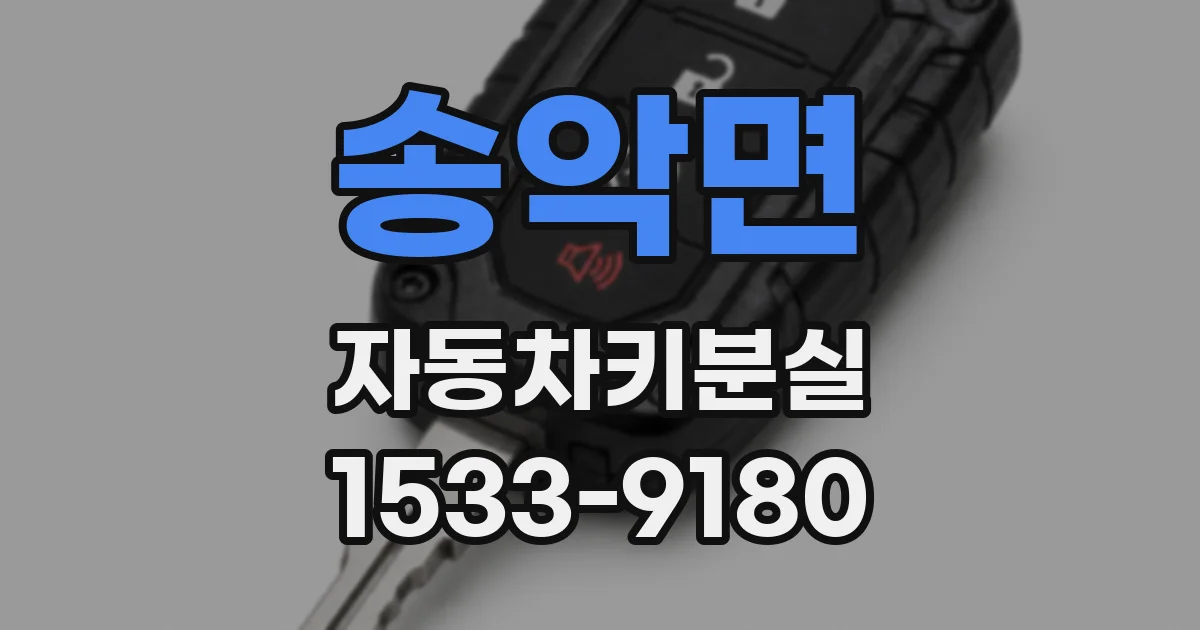 송악면 자동차키분실