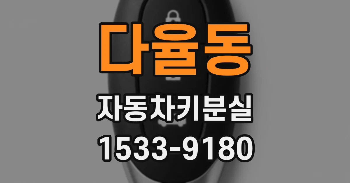 다율동 자동차키분실