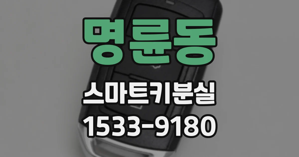 명륜동 스마트키분실