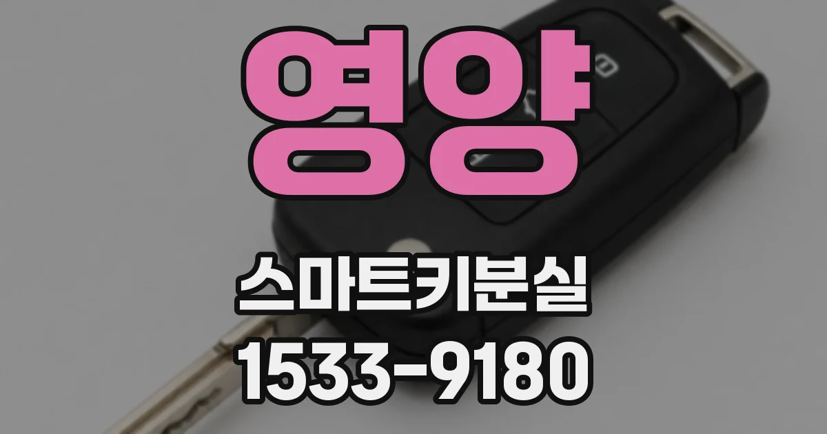 영양 스마트키분실