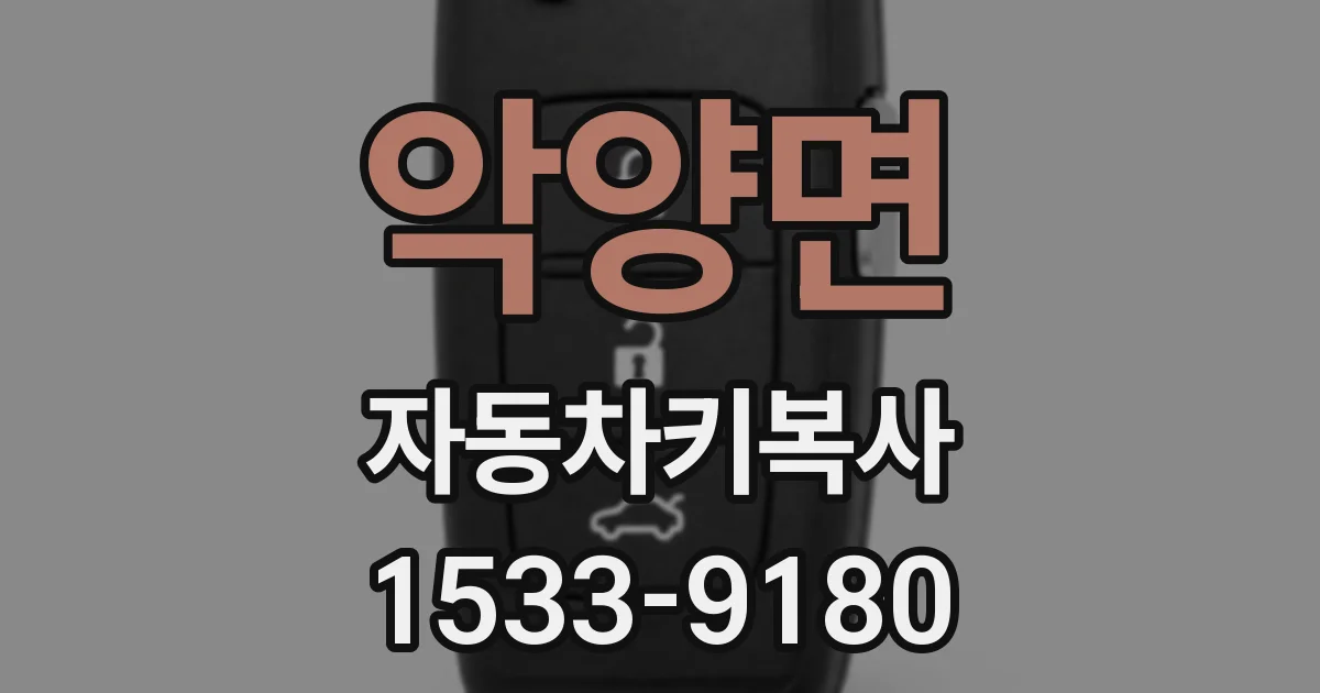 악양면 자동차키복사