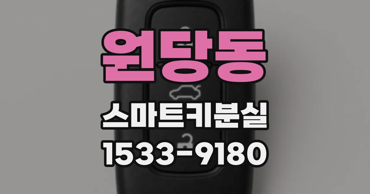 원당동 스마트키분실