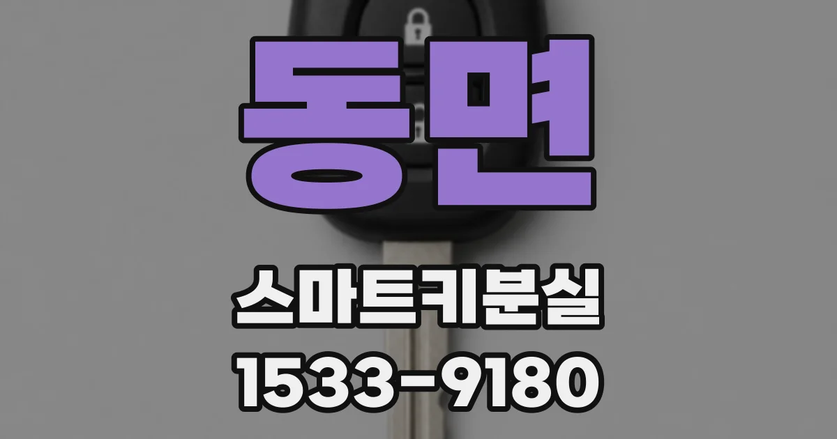 동면 스마트키분실