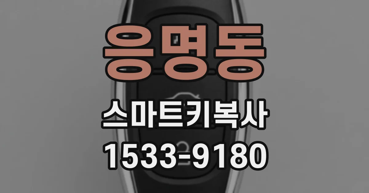 응명동 스마트키복사