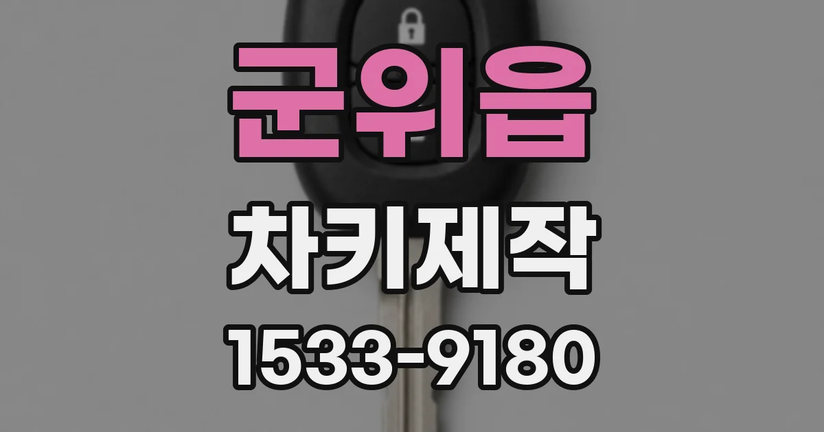 군위읍 차키제작