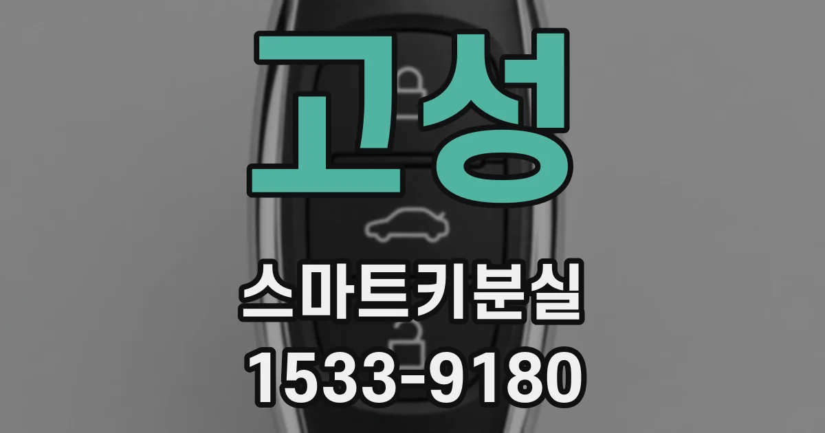고성 스마트키분실