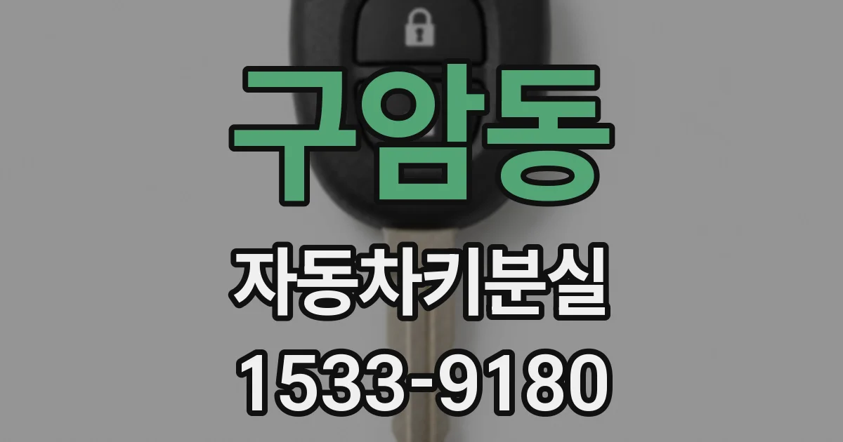구암동 자동차키분실