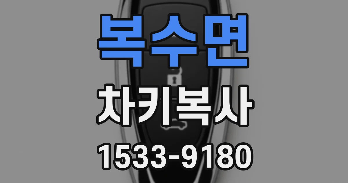 복수면 차키복사