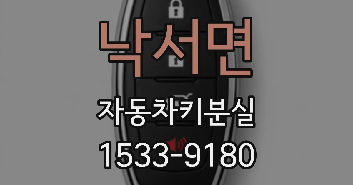 낙서면 자동차키분실