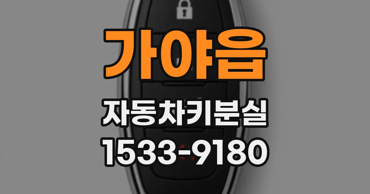 가야읍 자동차키분실